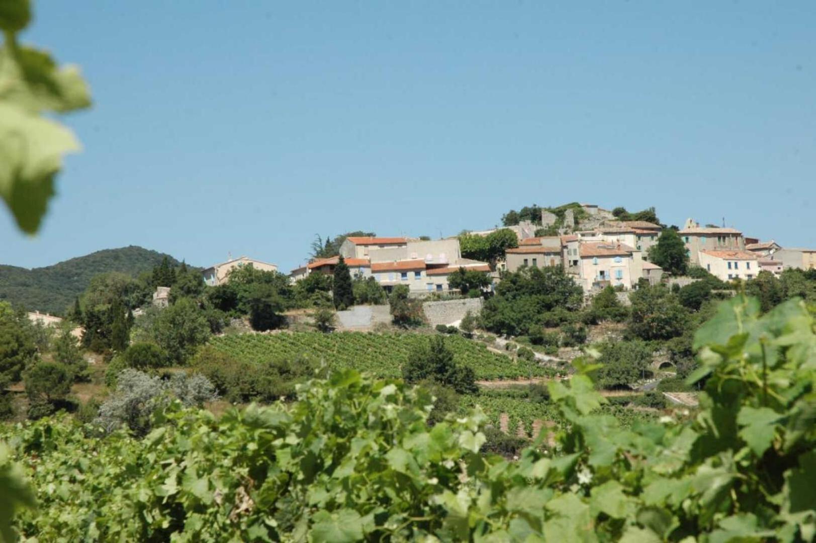 הוילה Montgaillard  Cecile מראה חיצוני תמונה